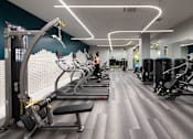 Thumbnail 5 of 28 - a group of people working out in a gym with cardio equipment