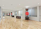 Thumbnail 8 of 33 - Fitness room