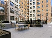 Thumbnail 16 of 33 - courtyard with grilling stations