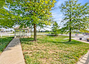 Thumbnail 17 of 17 - A tree with yellow leaves stands in a grassy area.