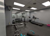Thumbnail 5 of 21 - a gym with weights and other exercise equipment in a building