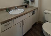 Thumbnail 18 of 21 - a bathroom with a sink and a mirror and a toilet