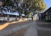 Thumbnail 17 of 19 - A tree-lined walkway leads to a white building.