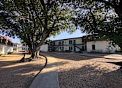 Thumbnail 16 of 19 - A tree stands in front of a white building with a gravel area in the foreground.