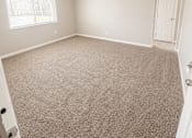 Thumbnail 6 of 11 - A room with a carpeted floor and a door on the right side.