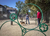 Thumbnail 24 of 26 - The Alexandar Apartments Dog Park