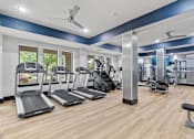 Thumbnail 18 of 33 - A gym with treadmills, weights, and exercise equipment.