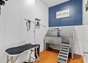 Thumbnail 27 of 33 - A room with a blue wall and a sink.