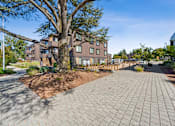 Thumbnail 25 of 28 - A large tree is in the middle of a brick courtyard.