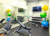 Thumbnail 25 of 29 - A gym with a variety of equipment including a bench, weights, and exercise balls.