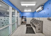 Thumbnail 25 of 53 - A blue wall with black birds on it and a white tiled floor.