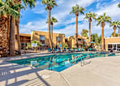 Thumbnail 20 of 29 - A pool surrounded by palm trees and a building in the background.