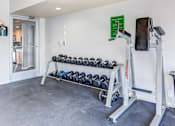 Thumbnail 28 of 29 - A gym room with a bench, weights, and a barbell.