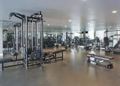 Thumbnail 9 of 28 - Apartments for Rent in Hollywood - The Fifty Five Fifty - A Spacious Fitness Center With Plenty Of Natural Light And An Abundance Of Workout Machines And Equipment