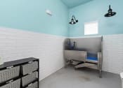 Thumbnail 15 of 44 - Prelude at Paramount Apartments Pet Wash