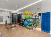 Thumbnail 19 of 21 - a gym with weights and other exercise equipment on a wooden floor