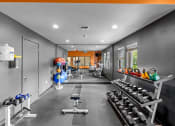 Thumbnail 26 of 43 - a workout room with weights and other exercise equipment