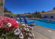 Thumbnail 27 of 33 - Sagecliff Pool Area