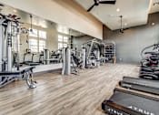 Thumbnail 6 of 21 - A gym with a variety of equipment including treadmills, weights, and a fan.