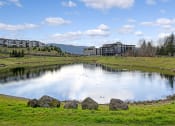 Thumbnail 44 of 48 - a pond with buildings in the background and a blue sky