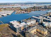 Thumbnail 29 of 30 - A large body of water with boats docked and buildings surrounding it.