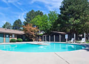 Thumbnail 13 of 26 - Arbropointe Apartments Pool with Lounge Chairs