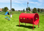 Thumbnail 33 of 45 - Badger Mountain Ranch Dog Park