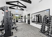 Thumbnail 30 of 48 - A gym with a variety of equipment including a leg press machine and a dumbbell rack.