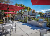 Thumbnail 21 of 26 - The Alexandar BBQ Area
