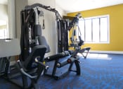 Thumbnail 30 of 33 - Gym