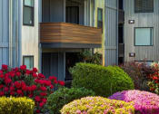 Thumbnail 15 of 24 - Duet Apartments in Lynnwood, Washington Exterior