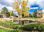 Thumbnail 13 of 14 - A pond in the middle of a grassy area with a yellow tree in the background.