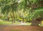 Thumbnail 26 of 26 - Multnomah Village Portland, Oregon Park