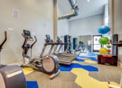 Thumbnail 4 of 26 - The Alexandar Apartments Fitness Center