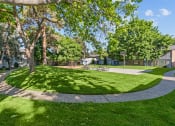 Thumbnail 5 of 15 - Curtis Apartments  green grass and trees and a sidewalk