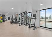 Thumbnail 18 of 20 - a gym with exercise equipment and large windows