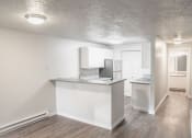 Thumbnail 28 of 41 - GoGo Heights Apartments Vacant Kitchen