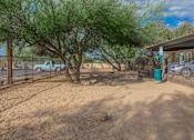 Thumbnail 9 of 13 - A tree in a yard with a blue trash can.