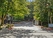 Thumbnail 31 of 32 - A tree-lined street with a sign for Aspire Apartments on the right.