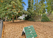 Thumbnail 29 of 32 - A green lawn chair sits on a dirt ground with trees in the background.