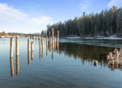 Thumbnail 27 of 31 - a view of a lake with wooden poles sticking out of the water