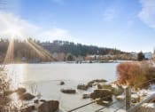 Thumbnail 24 of 31 - a frozen lake with rocks in the foreground and trees in the background
