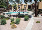Thumbnail 1 of 29 - Madera at Metro Pool with Lounge Chairs