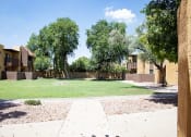 Thumbnail 14 of 29 - Madera at Metro Exterior and Courtyard