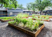Thumbnail 17 of 24 - Maple Ridge Apartments Community Garden