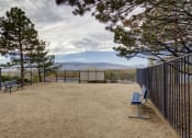 Thumbnail 24 of 33 - Sagecliff Apartments Outdoor Dog Park