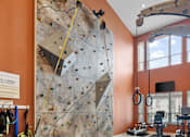 Thumbnail 21 of 35 - a climbing wall and mattress in a room with other equipment