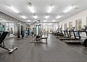 Thumbnail 36 of 92 - A spacious gym with various exercise equipment.