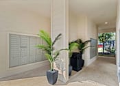 Thumbnail 73 of 92 - A white building with a palm tree in a pot.