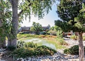 Thumbnail 14 of 14 - A serene garden with a pond, trees, and a house in the background.